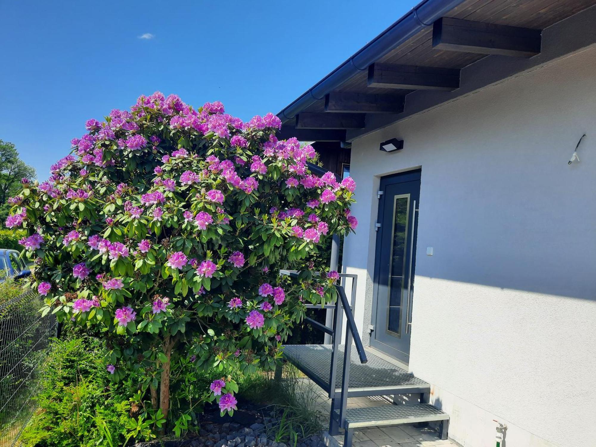 Bungalov Na Brehu Labe S Vlastnim Molem Pardubice Exterior foto